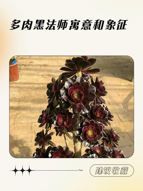 2种植物一起种,净化空气效果倍增,种什么植物净化空气-第2张图片-优品飞百科 2种植物一起种,净化空气效果倍增,种什么植物净化空气-第2张图片-优品飞百科