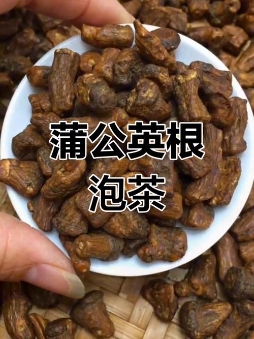 蒲公英根可以长期喝吗，蒲公英根多少钱一斤，蒲公英根儿多少钱一斤-第4张图片-优品飞百科