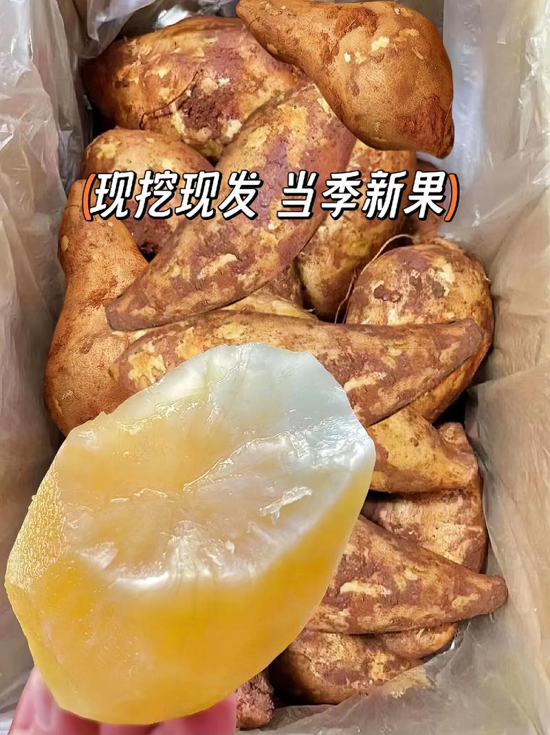 雪莲果怎么保存，长期保存方法有吗，雪莲果如何保存?