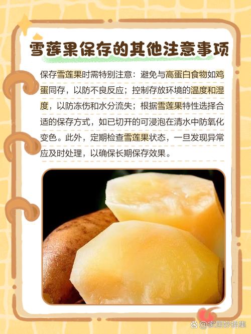 雪莲果怎么保存，长期保存方法有吗，雪莲果如何保存?-第5张图片-优品飞百科