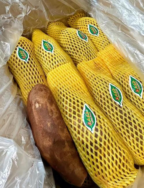 雪莲果怎么保存，长期保存方法有吗，雪莲果如何保存?-第7张图片-优品飞百科