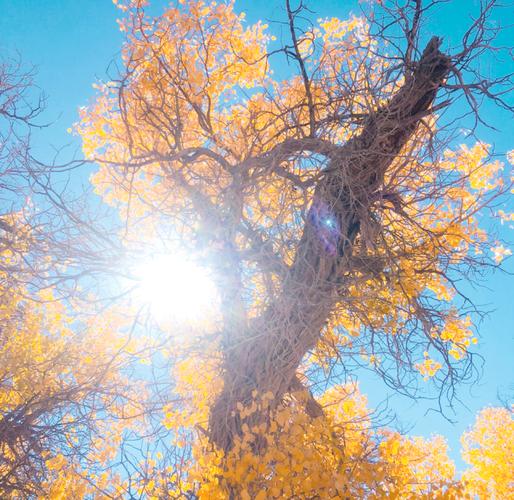 玉门天气预报,玉门天气预报30天-第2张图片-优品飞百科 玉门天气预报,玉门天气预报30天-第2张图片-优品飞百科