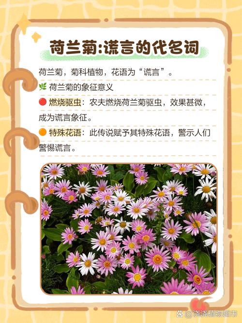 曼珠沙华的花语，曼珠沙华的花语诗句？-第5张图片-优品飞百科