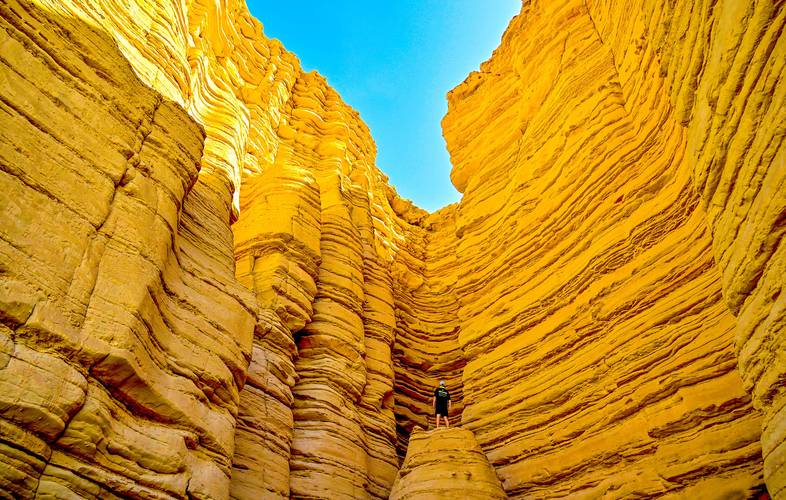 伊吾天气预报，新疆各地天气预报-第3张图片-优品飞百科