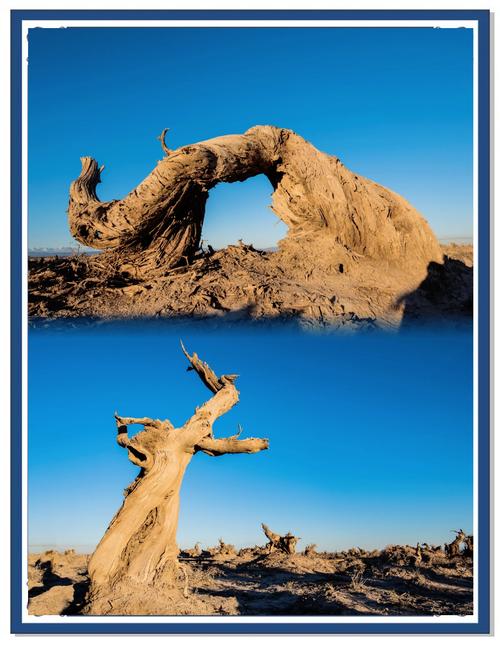 伊吾天气预报，新疆各地天气预报-第4张图片-优品飞百科