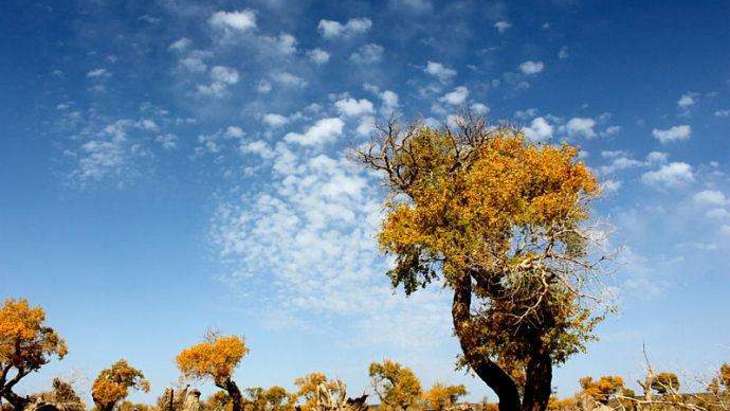 伊吾天气预报，新疆各地天气预报-第8张图片-优品飞百科