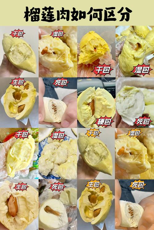 榴莲能放多久，榴莲图片，榴莲能存放几天-第6张图片-优品飞百科