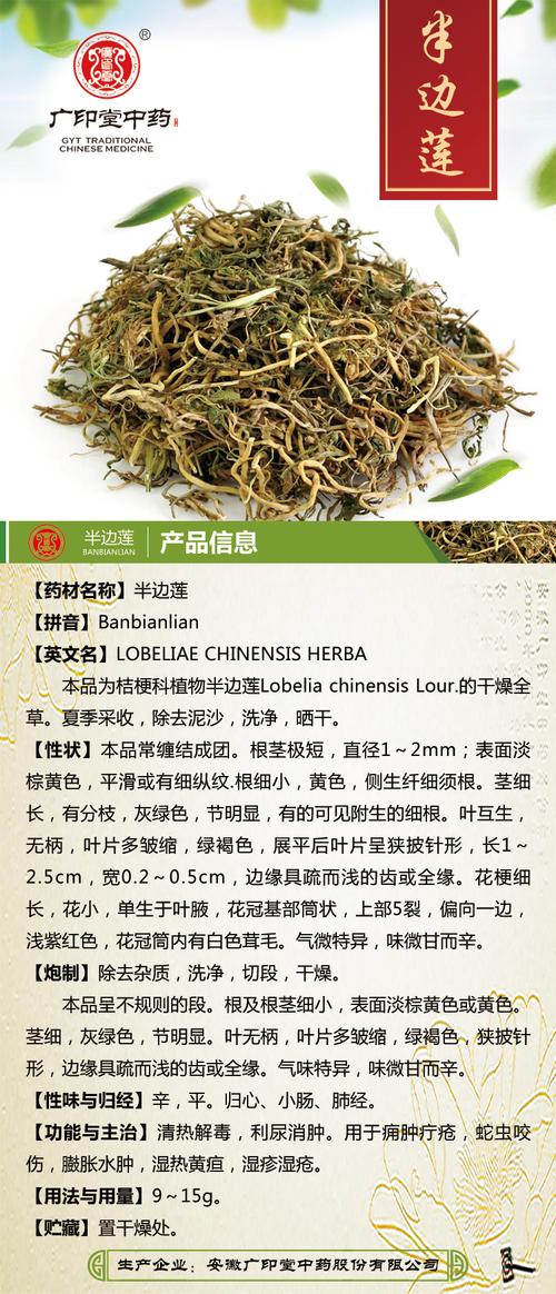 半边莲的功效和作用，半枝莲的功效与作用是什么？-第7张图片-优品飞百科