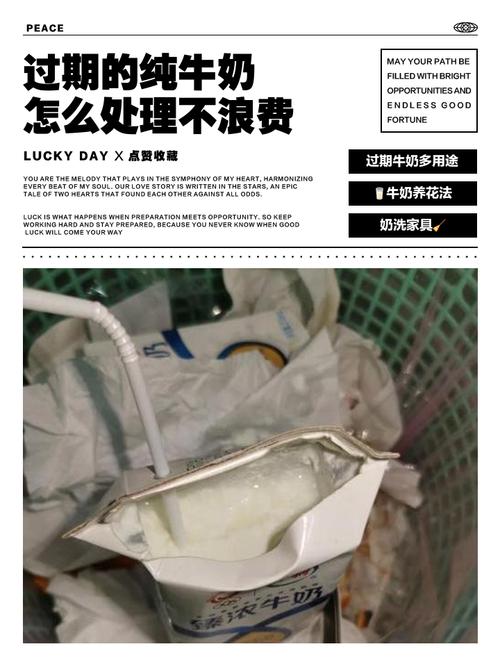 过期牛奶的11个妙用，浇花只是其中之一！？过期牛奶如何用来浇花？-第5张图片-优品飞百科