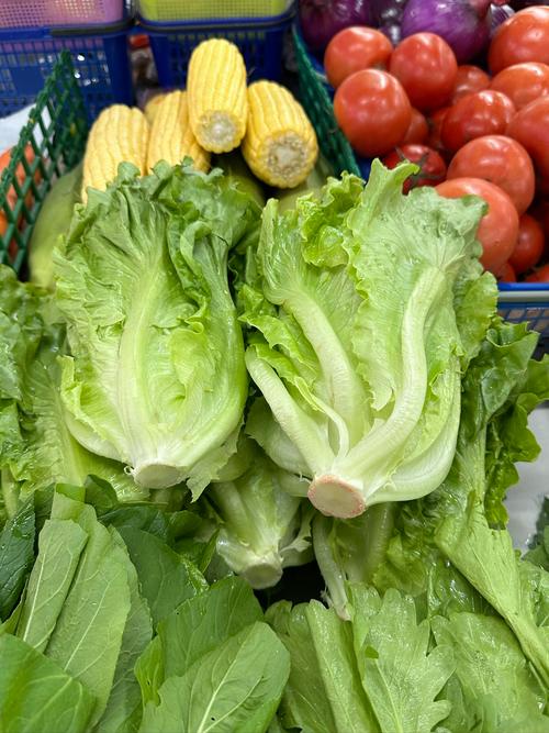 生菜是什么菜，是寒性食物吗？生菜是寒性的还是凉性的？