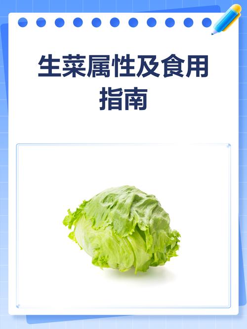 生菜是什么菜，是寒性食物吗？生菜是寒性的还是凉性的？-第5张图片-优品飞百科