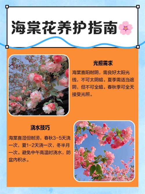 海棠是什么季节开的花,喜欢水多还是水少,海棠是什么季节开放的-第3张图片-优品飞百科 海棠是什么季节开的花,喜欢水多还是水少,海棠是什么季节开放的-第3张图片-优品飞百科