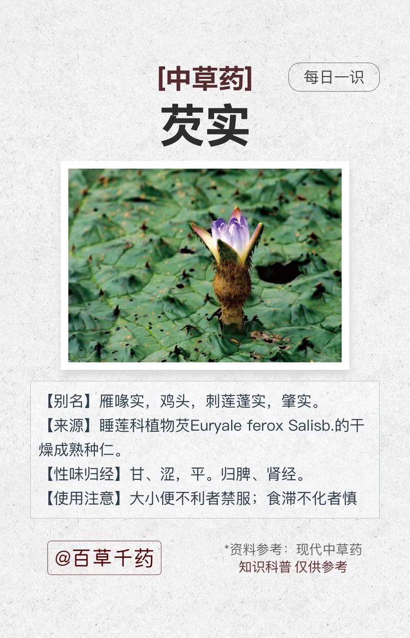 芡实的功效与作用,茯苓的功效与作用?-第1张图片-优品飞百科 芡实的功效与作用,茯苓的功效与作用?-第1张图片-优品飞百科