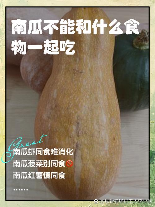 南瓜和什么不能一起吃,南瓜子不能和什么一起吃,南瓜子和什么食物不能一起吃-第2张图片-优品飞百科 南瓜和什么不能一起吃,南瓜子不能和什么一起吃,南瓜子和什么食物不能一起吃-第2张图片-优品飞百科