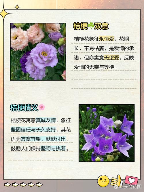 柑橘的花语和传说,柑橘的花语和寓意?-第2张图片-优品飞百科 柑橘的花语和传说,柑橘的花语和寓意?-第2张图片-优品飞百科