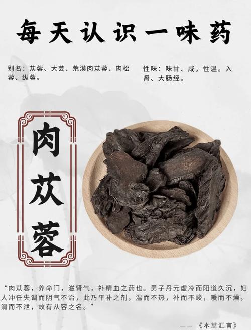 肉苁蓉能吃吗,可以泡酒吗,肉苁蓉可以泡酒吗怎样搭配?-第1张图片-优品飞百科 肉苁蓉能吃吗,可以泡酒吗,肉苁蓉可以泡酒吗怎样搭配?-第1张图片-优品飞百科