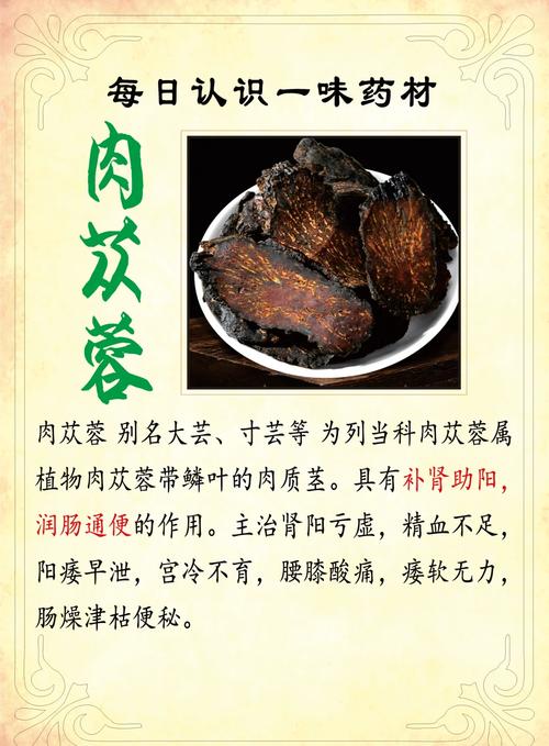 肉苁蓉能吃吗,可以泡酒吗,肉苁蓉可以泡酒吗怎样搭配?-第2张图片-优品飞百科 肉苁蓉能吃吗,可以泡酒吗,肉苁蓉可以泡酒吗怎样搭配?-第2张图片-优品飞百科