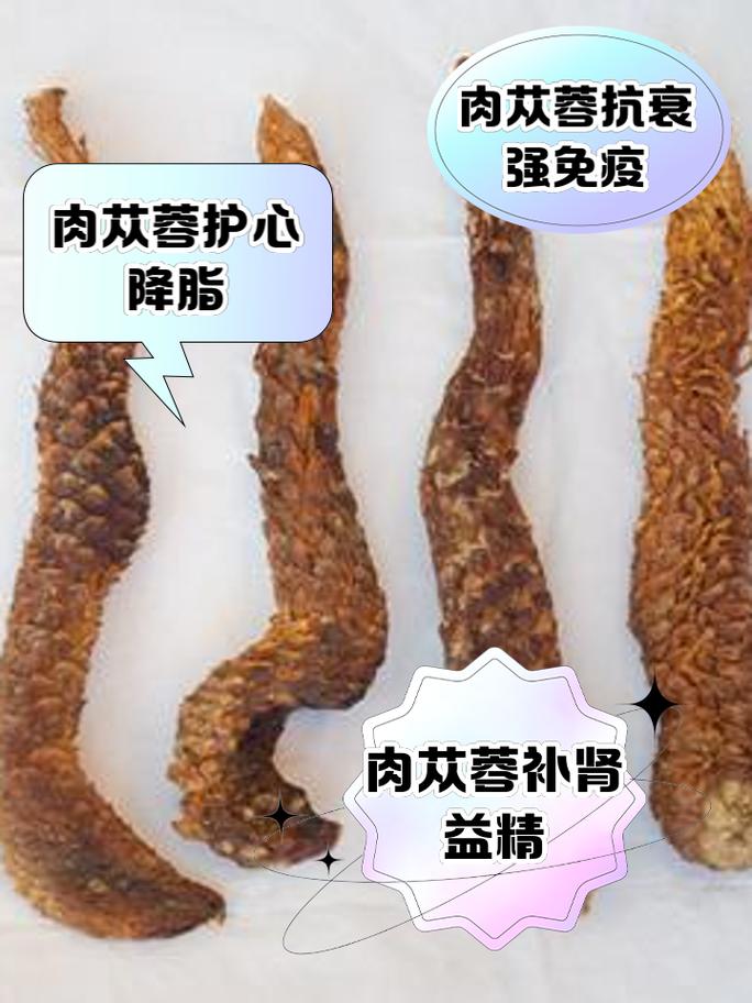 肉苁蓉能吃吗,可以泡酒吗,肉苁蓉可以泡酒吗怎样搭配?-第4张图片-优品飞百科 肉苁蓉能吃吗,可以泡酒吗,肉苁蓉可以泡酒吗怎样搭配?-第4张图片-优品飞百科