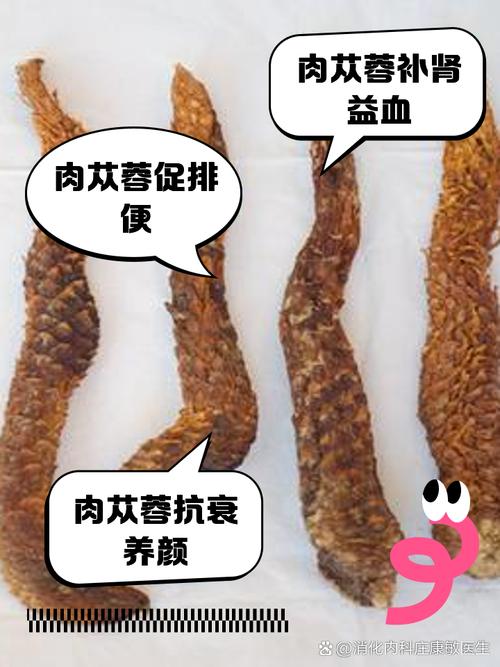 肉苁蓉能吃吗,可以泡酒吗,肉苁蓉可以泡酒吗怎样搭配?-第5张图片-优品飞百科 肉苁蓉能吃吗,可以泡酒吗,肉苁蓉可以泡酒吗怎样搭配?-第5张图片-优品飞百科