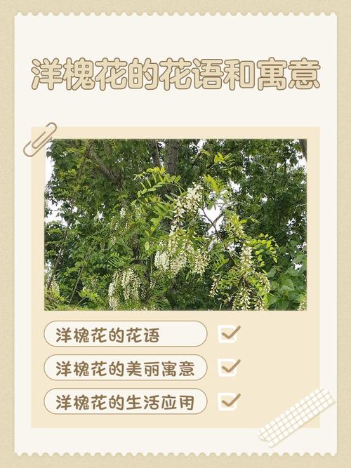 槐花的花语和文化寓意，槐花象征着什么意思？-第1张图片-优品飞百科