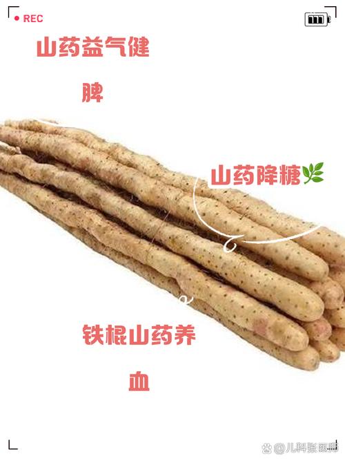 山药的功效与作用，山药的功效与作用吃法-第2张图片-优品飞百科