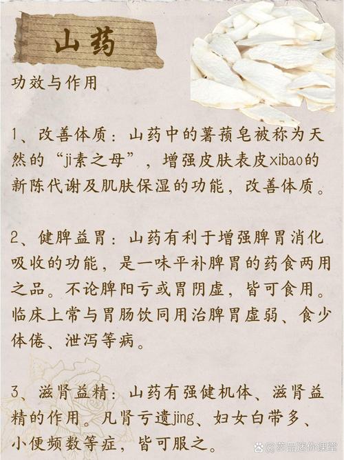 山药的功效与作用，山药的功效与作用吃法-第7张图片-优品飞百科