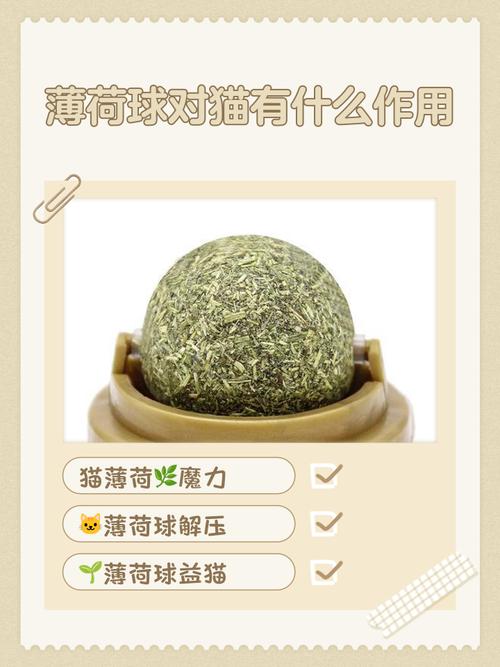 猫薄荷有什么作用，猫薄荷干什么用的?-第2张图片-优品飞百科
