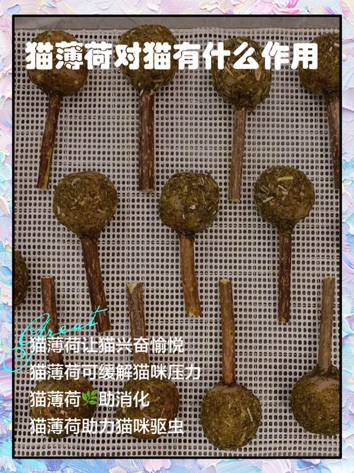 猫薄荷有什么作用，猫薄荷干什么用的?-第5张图片-优品飞百科