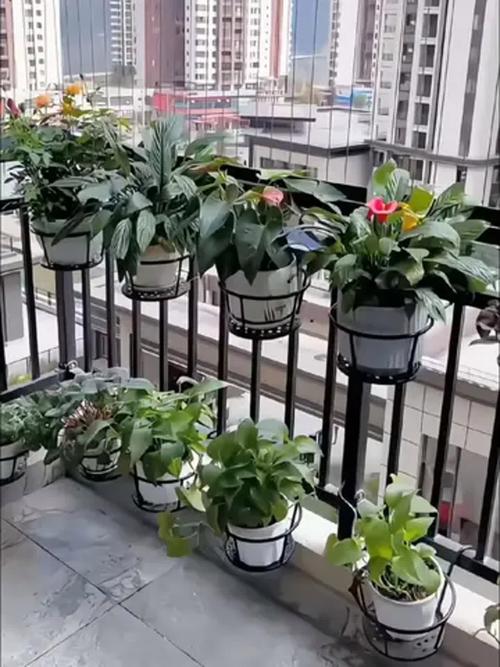 花架子适合放什么花,花架子放什么花好?-第2张图片-优品飞百科 花架子适合放什么花,花架子放什么花好?-第2张图片-优品飞百科