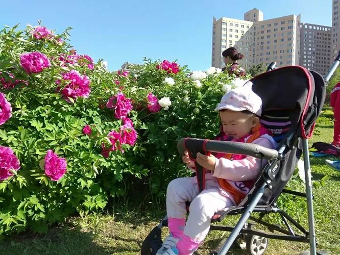 城市里种花的土去哪挖，种花去哪里挖泥土