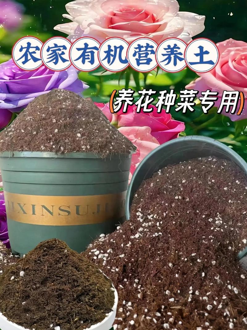 城市里种花的土去哪挖,种花去哪里挖泥土-第4张图片-优品飞百科 城市里种花的土去哪挖,种花去哪里挖泥土-第4张图片-优品飞百科