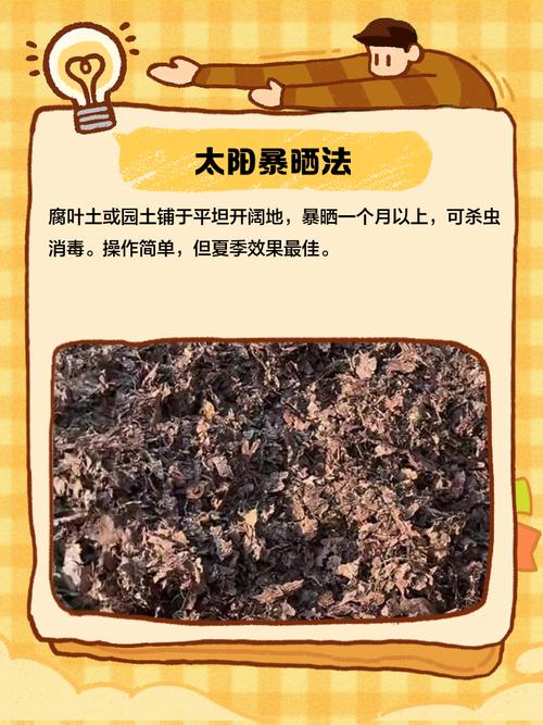 城市里种花的土去哪挖,种花去哪里挖泥土-第5张图片-优品飞百科 城市里种花的土去哪挖,种花去哪里挖泥土-第5张图片-优品飞百科