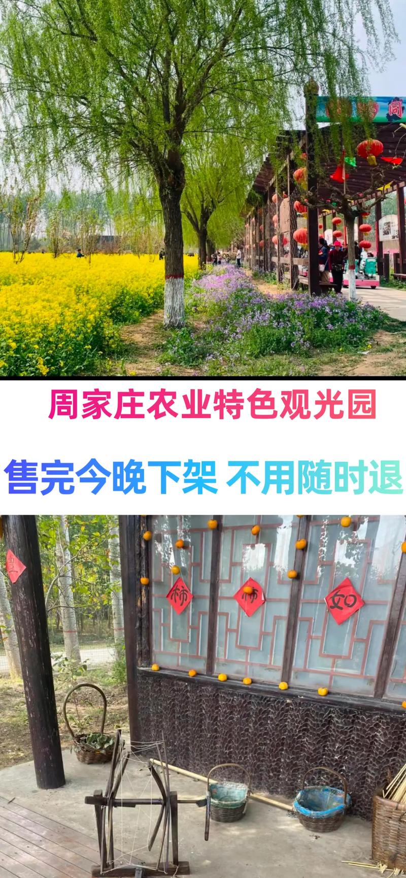 晋州市天气预报，河北省晋州市天气预报？-第4张图片-优品飞百科