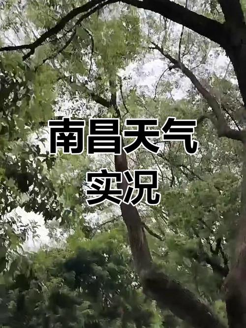 南昌近15天天气预报，南昌近15日天气-第7张图片-优品飞百科