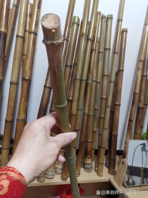 为什么养文竹会倒霉？镇宅最灵的三种花？-第5张图片-优品飞百科