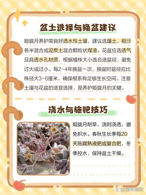 姬胧月有毒吗？姬胧月的作用？-第2张图片-优品飞百科