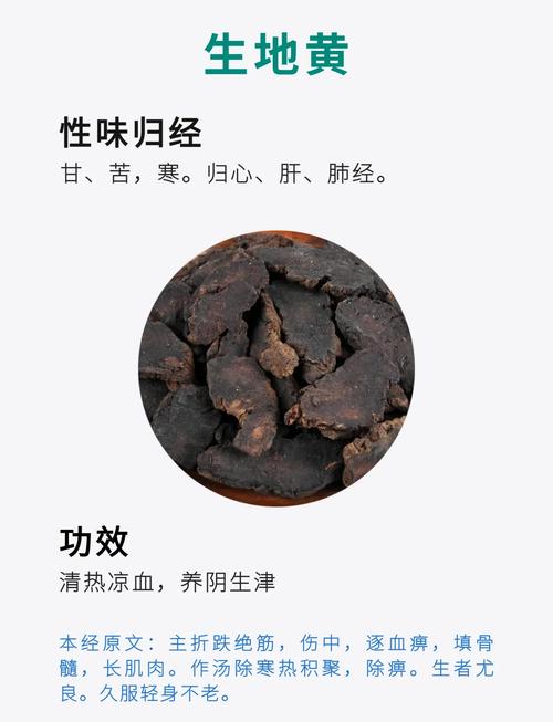地黄的功效与作用？当归的功效与作用？-第2张图片-优品飞百科