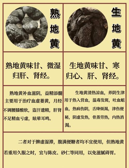 地黄的功效与作用？当归的功效与作用？-第4张图片-优品飞百科
