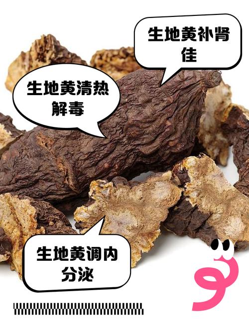 地黄的功效与作用？当归的功效与作用？-第5张图片-优品飞百科