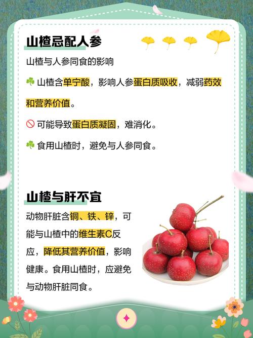 山楂和什么食物相克,吃山楂的注意事项,山楂跟什么相克??-第3张图片-优品飞百科 山楂和什么食物相克,吃山楂的注意事项,山楂跟什么相克??-第3张图片-优品飞百科