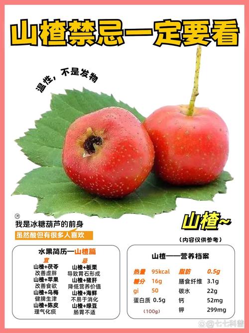 山楂和什么食物相克,吃山楂的注意事项,山楂跟什么相克??-第6张图片-优品飞百科 山楂和什么食物相克,吃山楂的注意事项,山楂跟什么相克??-第6张图片-优品飞百科