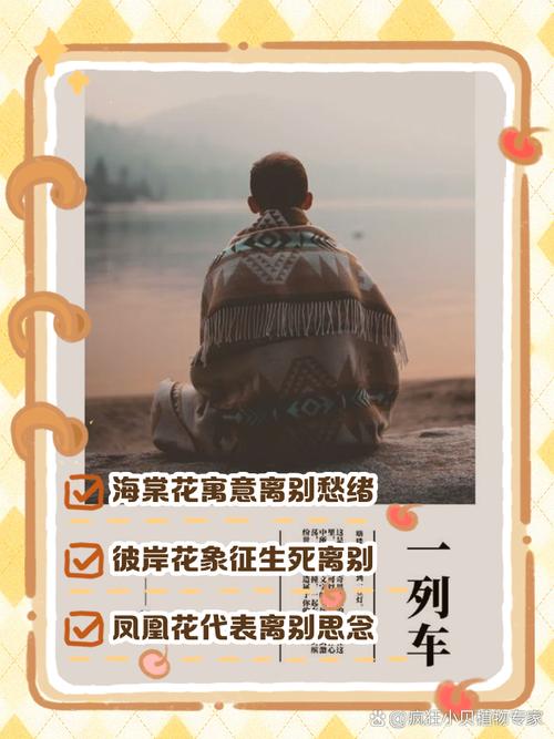 代表离别的花语，代表离别的花语是哪种花？-第4张图片-优品飞百科