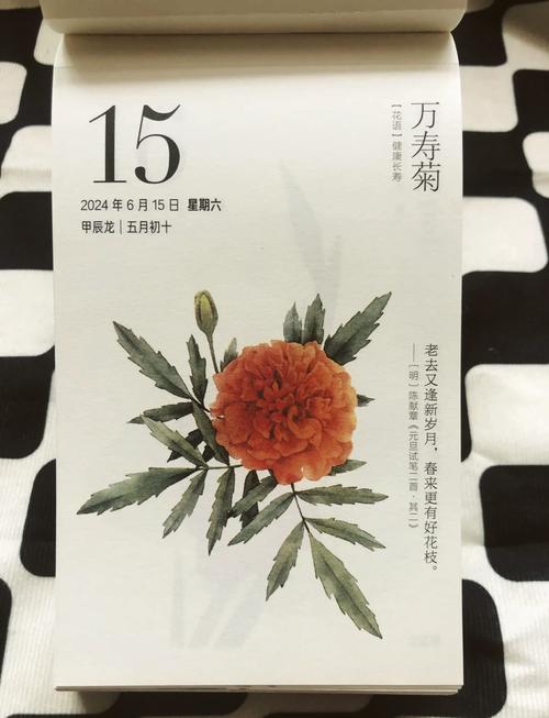 万寿菊的花语和寓意，有什么传说故事，万寿菊的花语是什么意思-第3张图片-优品飞百科