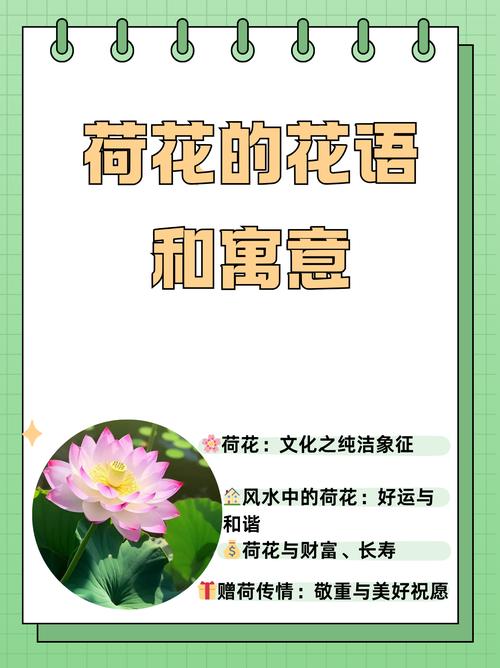 莲花的象征意义，澳门莲花的象征意义？-第3张图片-优品飞百科