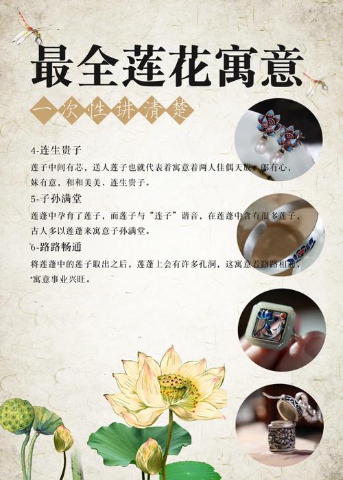 莲花的象征意义，澳门莲花的象征意义？-第8张图片-优品飞百科