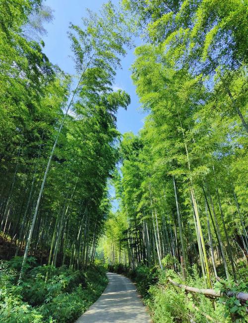 宜兴市天气预报，宜兴市天气预报40天？-第7张图片-优品飞百科