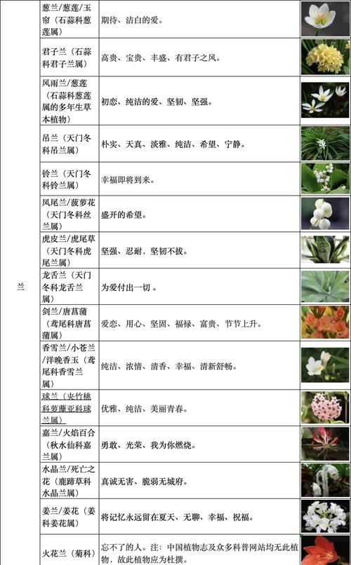 家庭种植花卉的花语总结，家庭养花品种及花名-第1张图片-优品飞百科