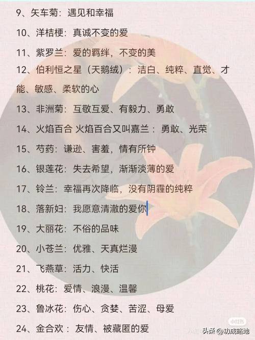家庭种植花卉的花语总结，家庭养花品种及花名-第2张图片-优品飞百科