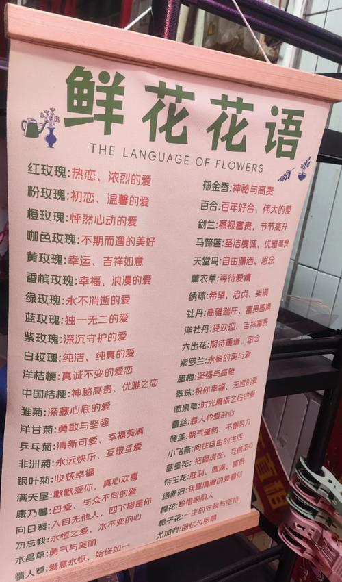 家庭种植花卉的花语总结，家庭养花品种及花名-第3张图片-优品飞百科