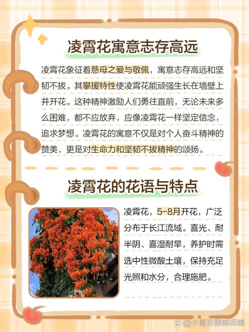 家庭种植花卉的花语总结，家庭养花品种及花名-第4张图片-优品飞百科